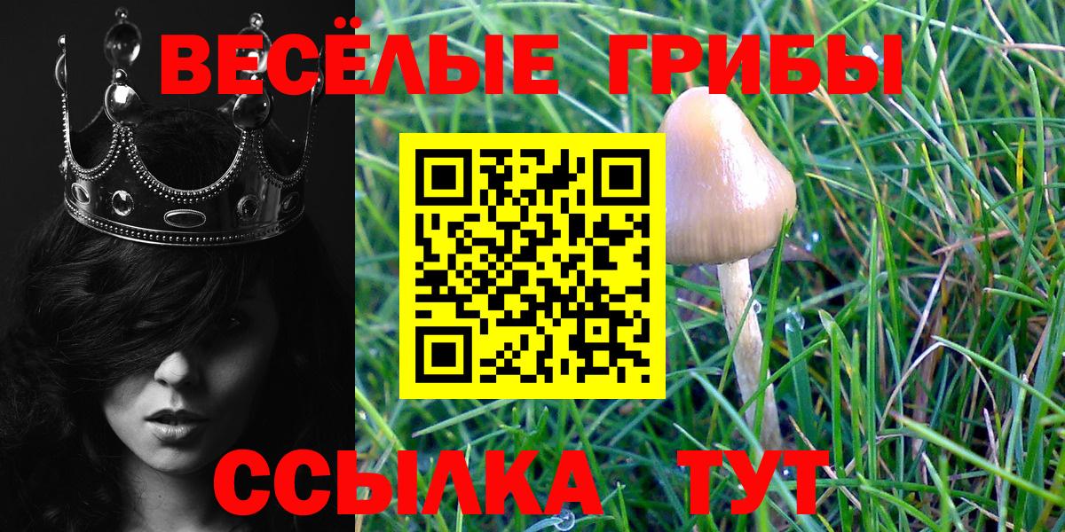 Галлюциногенные грибы ЛСД Стрежевой
