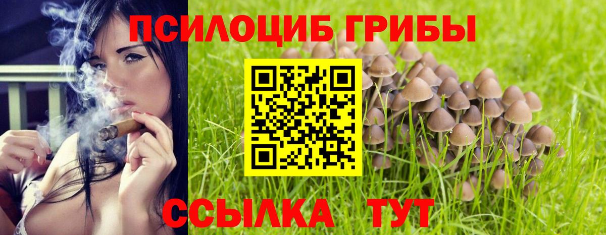 Стрежевой  Псилоцибиновые грибы Magic Shrooms  наркошоп  Вход с VPN  Галлюциногенные грибы Cubensis 